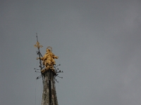 Den gyldne Madonna på toppen af Katedrallen