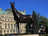 Skulpturen af den tre benede hest Zieme er på rejse i europa og var i Kraków mens vi var der. Den er lavet  af den maltesiske kunstner Austin Camilleri.
